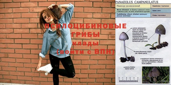 спиды Кинешма