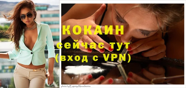 спиды Кинешма