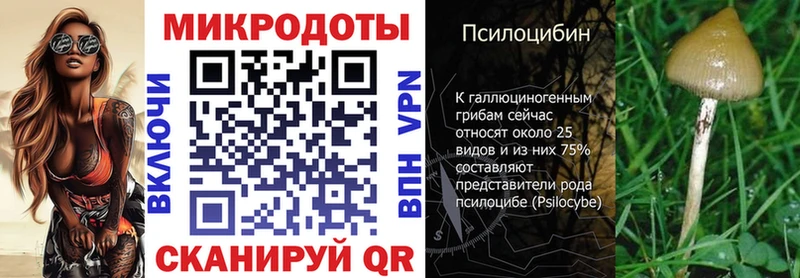 Псилоцибиновые грибы Cubensis  Купить закладки  Павлово 